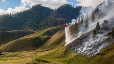Karhutla Gunung Semeru Meluas, 160 Hektar Lahan Ludes Terbakar