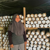 Cerita Astuti Bangun Usaha hingga Pimpin Bank Sampah, Tak Ingin Jamur Terbuang