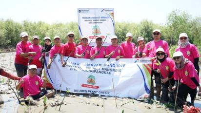 Lestarikan Ekosistem Pesisir, Pertamina Patra Niaga Tanam 1000 Mangrove di KEE Ujungpangkah, Gresik