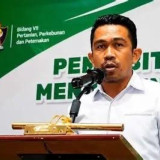 Khawatir Harga TBS Anjlok, SPKS Petani Sawit Dorong Pemerintah Susun Penerapan Harga Batas Bawah