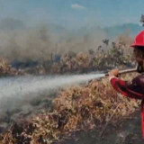 Pemerintah Awasi Titik Api, Cegah Polusi Asap Lintas Negara