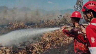 Pemerintah Awasi Titik Api, Cegah Polusi Asap Lintas Negara