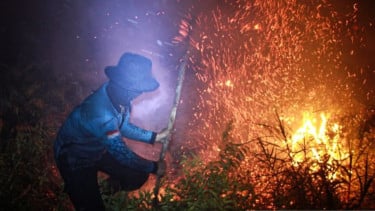 Titik Panas Karhutla di Kalimantan Meningkat, BNPB Ingatkan Kualitas Udara Memburuk