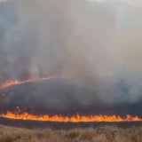 Kebakaran Hutan Gunung Semeru Semakin Tak Terkendali, Luas Lahan Terdampak Capai 600 Hektare 