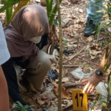 Fakta Mengerikan Kasus Bayi Tak Utuh di Sumedang! Ternyata Tewas Dibunuh Ibunya, Bukan Digigit Anjing