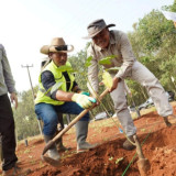 Pemprov Jabar Revitalisasi Kebun Karet Jalupang Subang, 4.200 Pohon Telah Ditanam