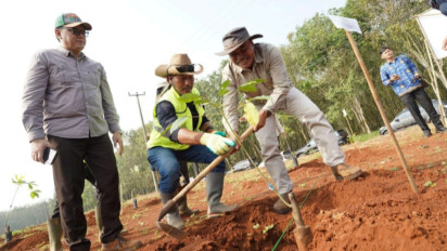 Pemprov Jabar Revitalisasi Kebun Karet Jalupang Subang, 4.200 Pohon Telah Ditanam