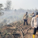 Api Padam Belum Tentu Bara Mati, Ini Tantangan Penanganan Karhutla di Lahan Gambut