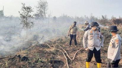 Api Padam Belum Tentu Bara Mati, Ini Tantangan Penanganan Karhutla di Lahan Gambut