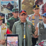 Kepala BNPB pastikan titik api di Jambi terus berkurang