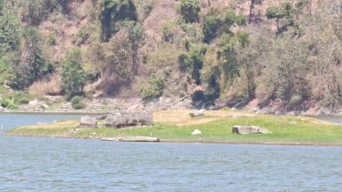 Debit Air Waduk Sermo Menyusut Imbas Kekeringan, Makam Lawas di Dasar Waduk Muncul ke Permukaan