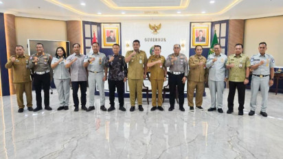 Upaya Penanganan, Karhutla di Riau Mulai Tunjukan Hasil Positif