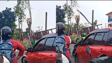 Viral, Pekerja Penebang Pohon di Depok Terluka Parah Setelah Batang yang Ditebang Terpental