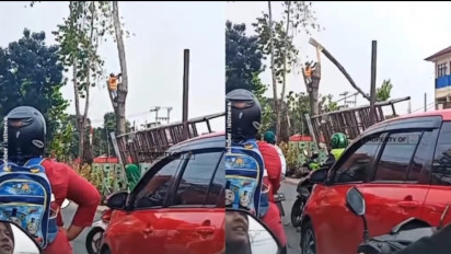 Viral, Pekerja Penebang Pohon di Depok Terluka Parah Setelah Batang yang Ditebang Terpental