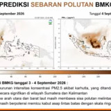 BNPB Ungkap Asap Tebal Kepung Sejumlah Titik di Sumatera dan Kalimantan Hari Ini, Besok Diprediksi Berkurang
