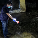 Tega! Lahir di Luar Pernikahan, Ibu Kandung Mutilasi Bayi Berakhir Jasadnya Diseret Anjing di Sumedang