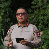 Satgas Damai Cartenz Tangkap DPO Penembakan Warga di Distrik Ilaga, Diduga Terlibat Pencurian Senpi