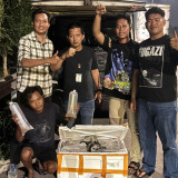 Ditpolairud Polda Metro Jaya Bongkar Penyelundupan 150 Ribu Benih Lobster dalam Mobil Pick Up