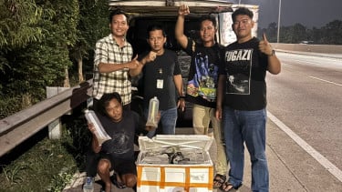 Ditpolairud Polda Metro Jaya Bongkar Penyelundupan 150 Ribu Benih Lobster dalam Mobil Pick Up