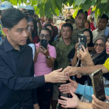 Gibran Minta Maaf ke Warga Sumut, Hunian Tetap Korban Banjir Bandang Belum Dibangun