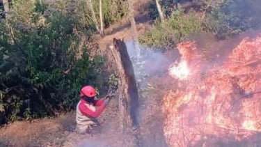 Sempat Padam, Kawasan Gunung Batak Kembali Dilanda Karhutla