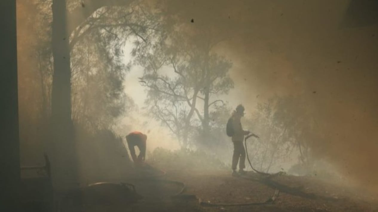 Semakin Tak Terkendali, Karhutla di Kawah Ijen Merambat ke Pos 4 Jalur Pendakian
            - galeri foto