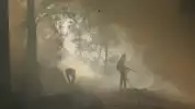 Semakin Tak Terkendali, Karhutla di Kawah Ijen Merambat ke Pos 4 Jalur Pendakian