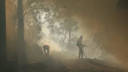 Semakin Tak Terkendali, Karhutla di Kawah Ijen Merambat ke Pos 4 Jalur Pendakian