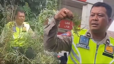 Berawal dari Amankan Kecelakaan di SPBU Mulawari Karo, Polisi Malah Temukan Ganja dalam Tas Korban