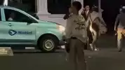Pria Ngamuk Bawa Celurit di Jalan Sudirman Jaksel Ternyata Hendak Mencuri, Hendak Ambil Tas Korban saat Istirahat