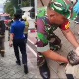 Aksi Heroik Petugas Damkar Mengevakuasi Bayi Saat Kebakaran Apartemen Pavilion Jakpus Jadi Sorotan