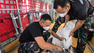KLH Gencar Modifikasi Cuaca Demi Tangani Karhutla di Kalbar dan Kalteng