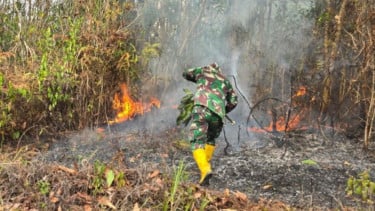 Karhutla Hanguskan 31,66 Hektare di Jalan Pondok Belanda Penajam, Tim Gabungan Lakukan Pendinginan