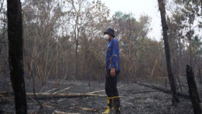 Hujan Turun di Sebagian Kalbar, Kemenhut Tetap Perkuat Pengendalian Karhutla di Enam Provinsi