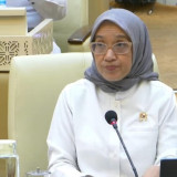 Menpan RB Ungkap Hanya 23,3 Persen Unit Kerja Pemda Punya Predikat Zona Integritas