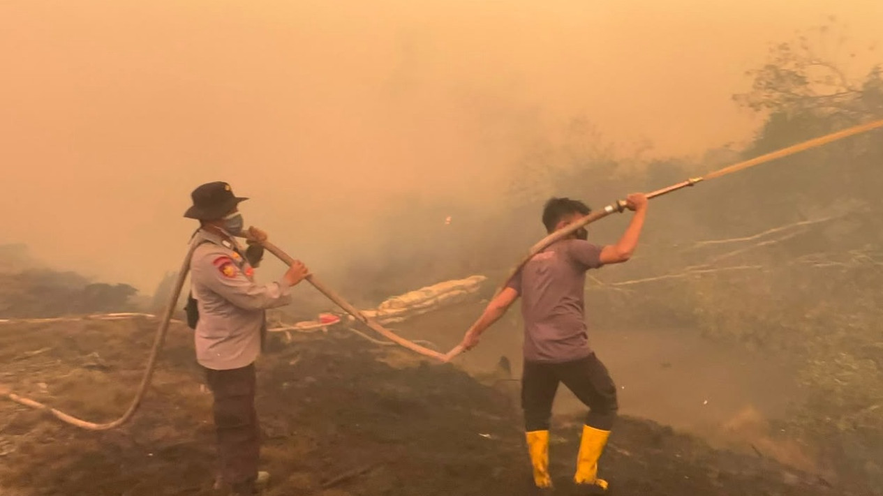Polda Sumsel Intensifkan Penanganan Karhutla di Teluk Limau, Cegah Api Meluas pada Lahan Gambut
            - galeri foto
