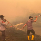 Polda Sumsel Intensifkan Penanganan Karhutla di Teluk Limau, Cegah Api Meluas pada Lahan Gambut