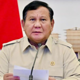 Prabowo Instruksikan Karhutla di IKN Ditangani Serius, Jangan Sampai ke Zona Inti