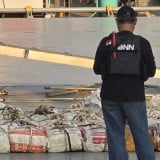 BNN Usulkan Ketamin Masuk Golongan Narkotika, Butuh Masa Transisi untuk Penyesuaian Izin Medis