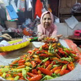 Pasokan Menipis, Harga Cabai Rawit di Probolinggo Naik Capai Rp60 Ribu Per Kilogram