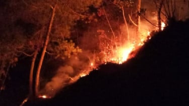 Deretan Peristiwa Kebakaran Gunung Cikuray Garut dalam 7 Tahun Terakhir, Terbaru 5 Hektare Terbakar
