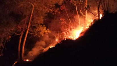 Deretan Peristiwa Kebakaran Gunung Cikuray Garut dalam 7 Tahun Terakhir, Terbaru 5 Hektare Terbakar