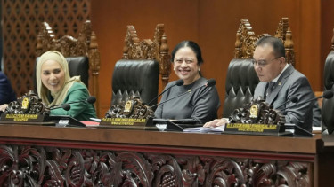 DPR Dorong Penanganan Terpadu Karhutla dan Kebencanaan Lintas Kementerian