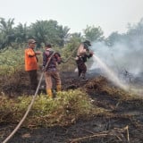 Lapor Soal Penanganan Karhutla, Boni Hargens: Polri Jalankan Tugas Presiden