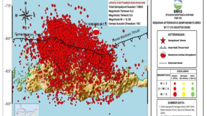 Gempa Susulan Magnitudo 7,7 Flores Capai 13.863 Kali Hingga Rabu Pagi