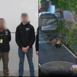 Viral Mesum di Rumah Warga Bali, WNA Australia Dideportasi dan Dicekal 10 Tahun