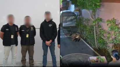 Viral Mesum di Rumah Warga Bali, WNA Australia Dideportasi dan Dicekal 10 Tahun