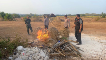 Judi Sabung Ayam di Sidayu Gresik Digerebek Polisi, Kurungan Ayam Dibakar