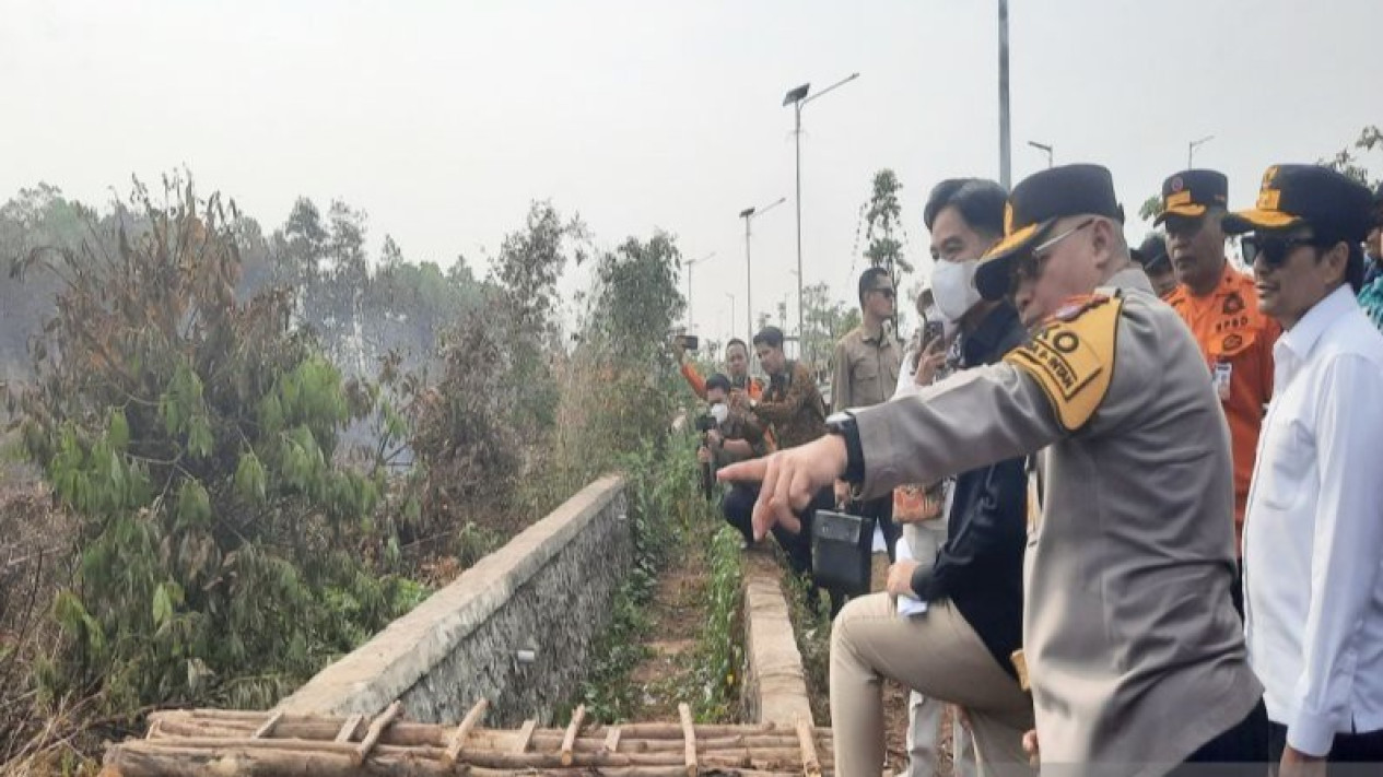Wapres Gibran Instruksikan Polisi Beri Hukuman Berefek Jera bagi Pembakar Lahan
            - galeri foto