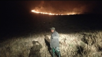 Karhutla Kembali Terjadi di Bromo, Titik Api Muncul di Bukit Pengol
